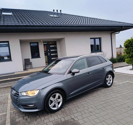 Audi A3 cena 39700 przebieg: 214000, rok produkcji 2013 z Płock małe 667